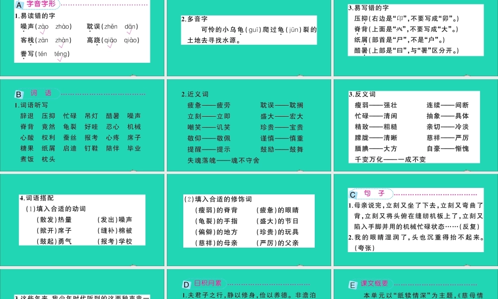 五年级语文上册 第六单元知识盘点作业课件 新人教版-新人教版小学五年级上册语文课件