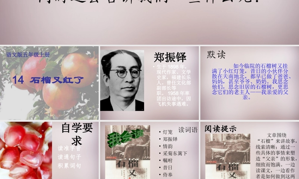 五年级语文上册《石榴又红了》课件2 语文A版-语文A版小学五年级上册语文课件