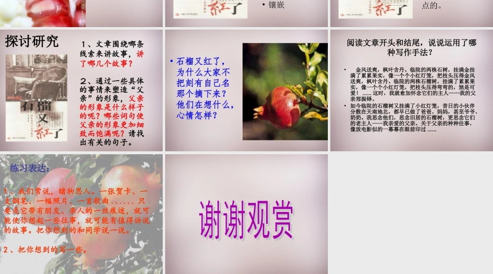 五年级语文上册《石榴又红了》课件2 语文A版-语文A版小学五年级上册语文课件