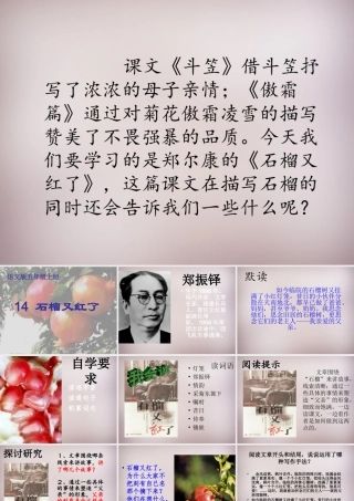 五年级语文上册《石榴又红了》课件2 语文A版-语文A版小学五年级上册语文课件