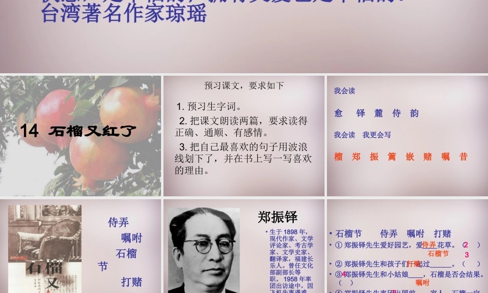 五年级语文上册《石榴又红了》课件3 语文A版-语文A版小学五年级上册语文课件