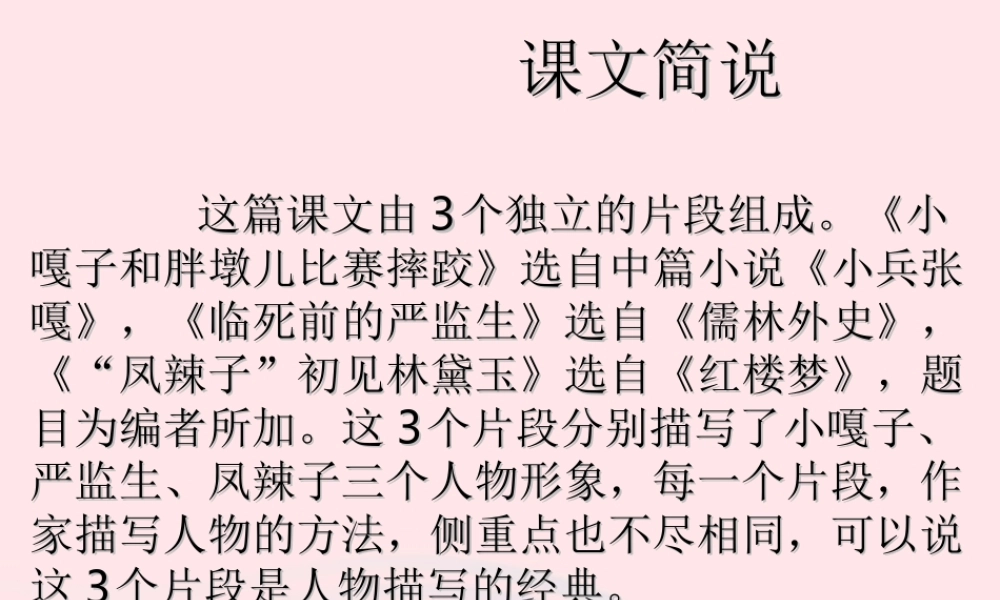 五年级语文下册 第七组 22人物描写一组课件1 新人教版-新人教版小学五年级下册语文课件