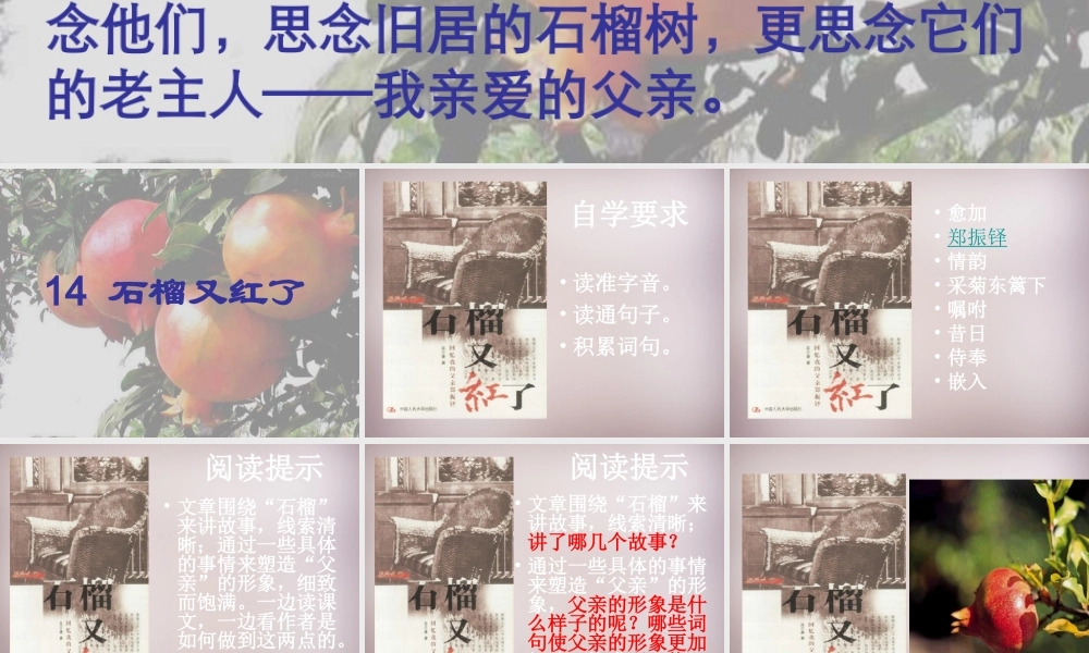五年级语文上册《石榴又红了》课件4 语文A版-语文A版小学五年级上册语文课件