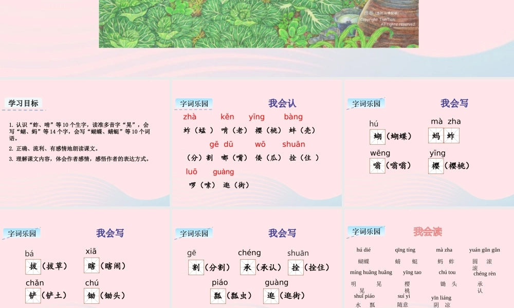 五年级语文下册 第一单元 2 祖父的园子教学课件 新人教版-新人教版小学五年级下册语文课件
