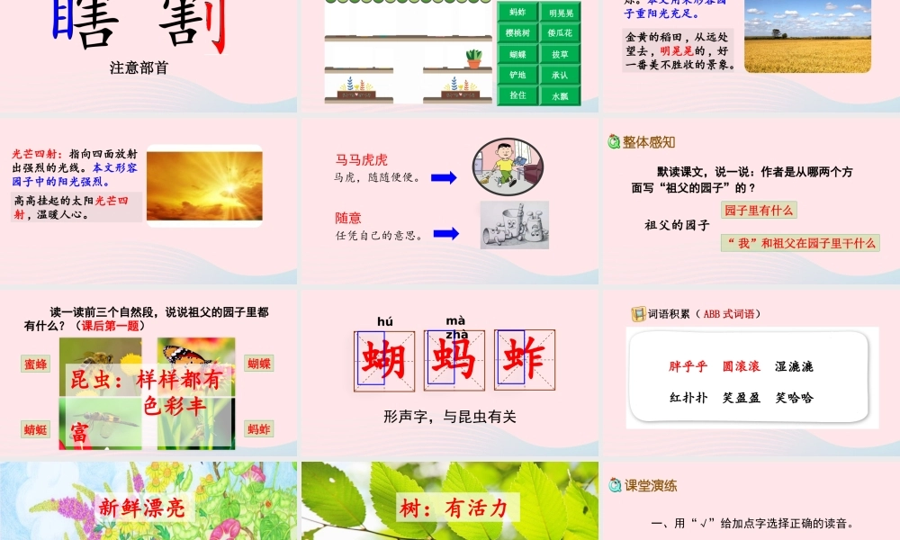 五年级语文下册 第一单元 2 祖父的园子精品课件 新人教版-新人教版小学五年级下册语文课件