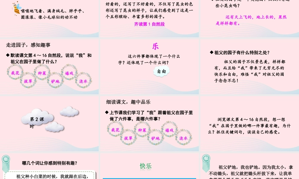 五年级语文下册 第一单元 2 祖父的园子课件 新人教版-新人教版小学五年级下册语文课件