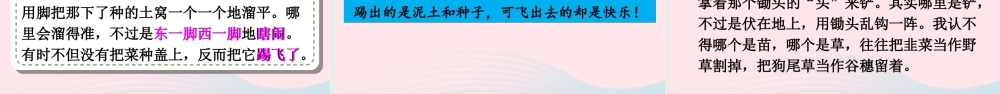 五年级语文下册 第一单元 2 祖父的园子课件 新人教版-新人教版小学五年级下册语文课件