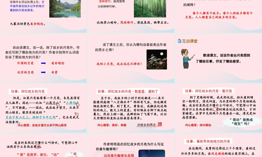 五年级语文下册 第一单元 3 月是故乡明精品课件 新人教版-新人教版小学五年级下册语文课件