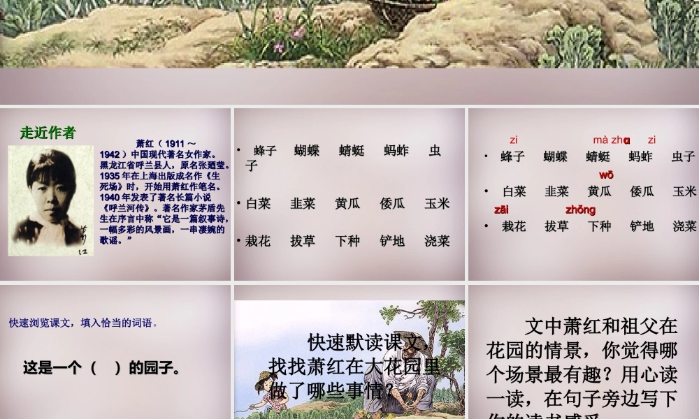 五年级语文上册《我家有个大花园》课件1 语文A版-语文A版小学五年级上册语文课件