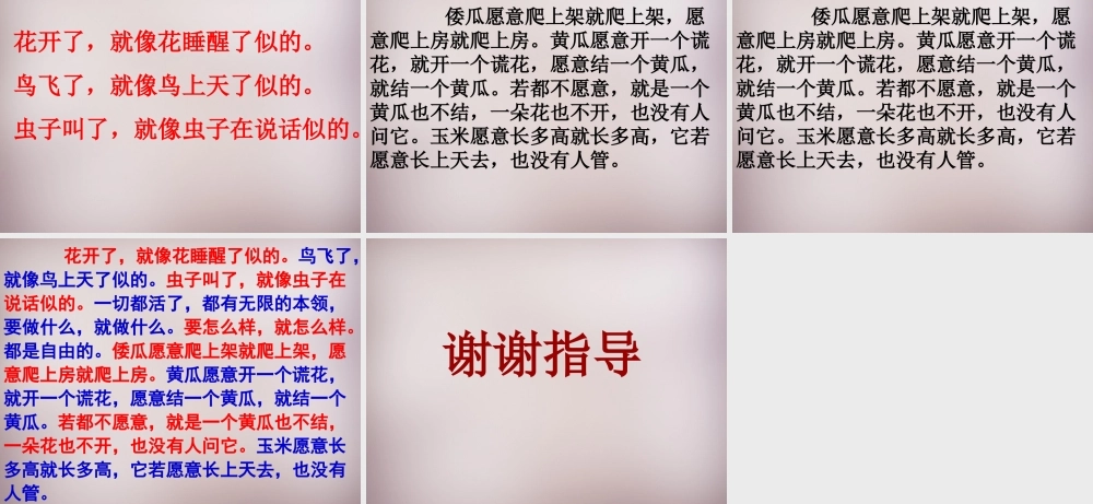 五年级语文上册《我家有个大花园》课件1 语文A版-语文A版小学五年级上册语文课件