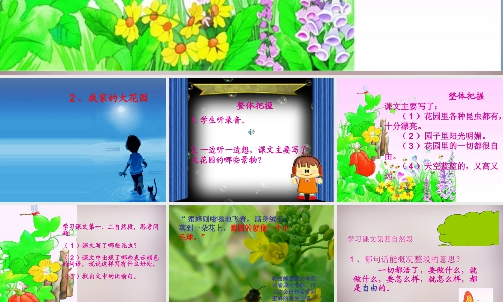 五年级语文上册《我家有个大花园》课件2 语文A版-语文A版小学五年级上册语文课件