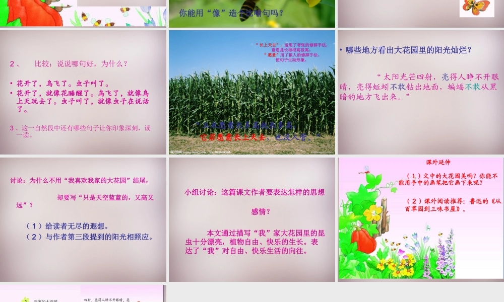 五年级语文上册《我家有个大花园》课件2 语文A版-语文A版小学五年级上册语文课件