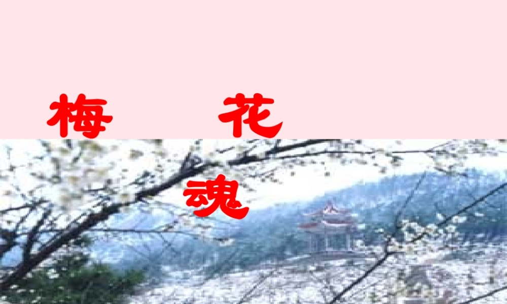 五年级语文下册 第一单元 4 梅花魂教学课件 新人教版-新人教版小学五年级下册语文课件