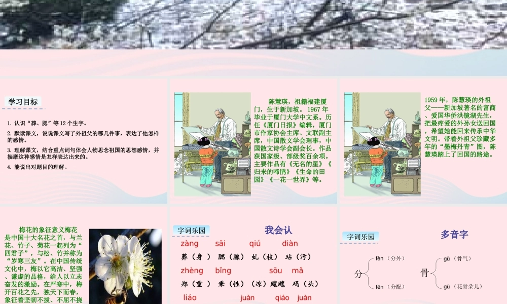 五年级语文下册 第一单元 4 梅花魂教学课件 新人教版-新人教版小学五年级下册语文课件