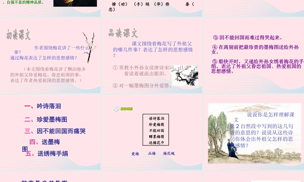 五年级语文下册 第一单元 4 梅花魂教学课件 新人教版-新人教版小学五年级下册语文课件