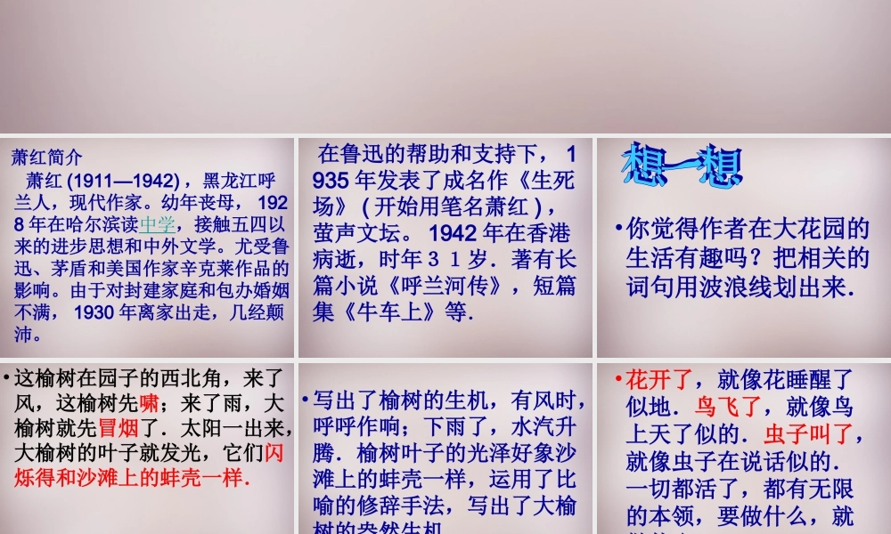 五年级语文上册《我家有个大花园》课件3 语文A版-语文A版小学五年级上册语文课件