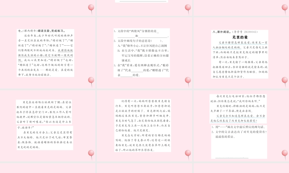 五年级语文上册 第六组 19精彩极了和糟糕透了习题课件 新人教版-新人教版小学五年级上册语文课件