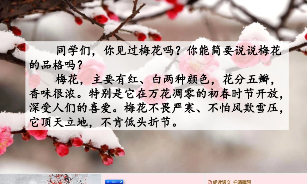 五年级语文下册 第一单元 4 梅花魂精品课件 新人教版-新人教版小学五年级下册语文课件