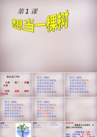 五年级语文上册《想当一棵树》课件1 语文A版-语文A版小学五年级上册语文课件