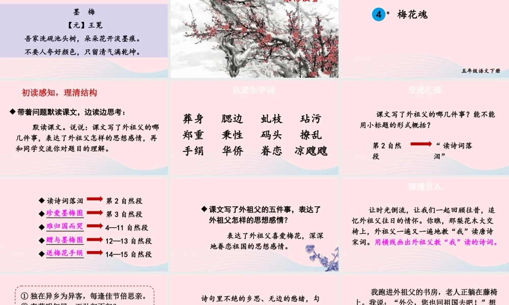 五年级语文下册 第一单元 4 梅花魂课件 新人教版-新人教版小学五年级下册语文课件