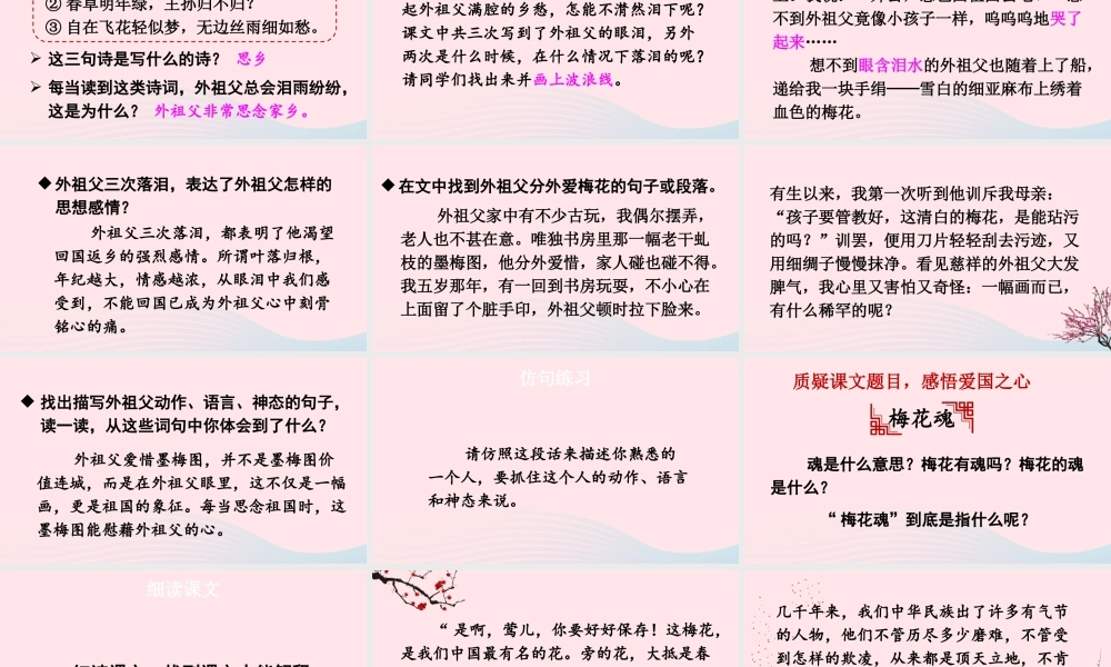 五年级语文下册 第一单元 4 梅花魂课件 新人教版-新人教版小学五年级下册语文课件