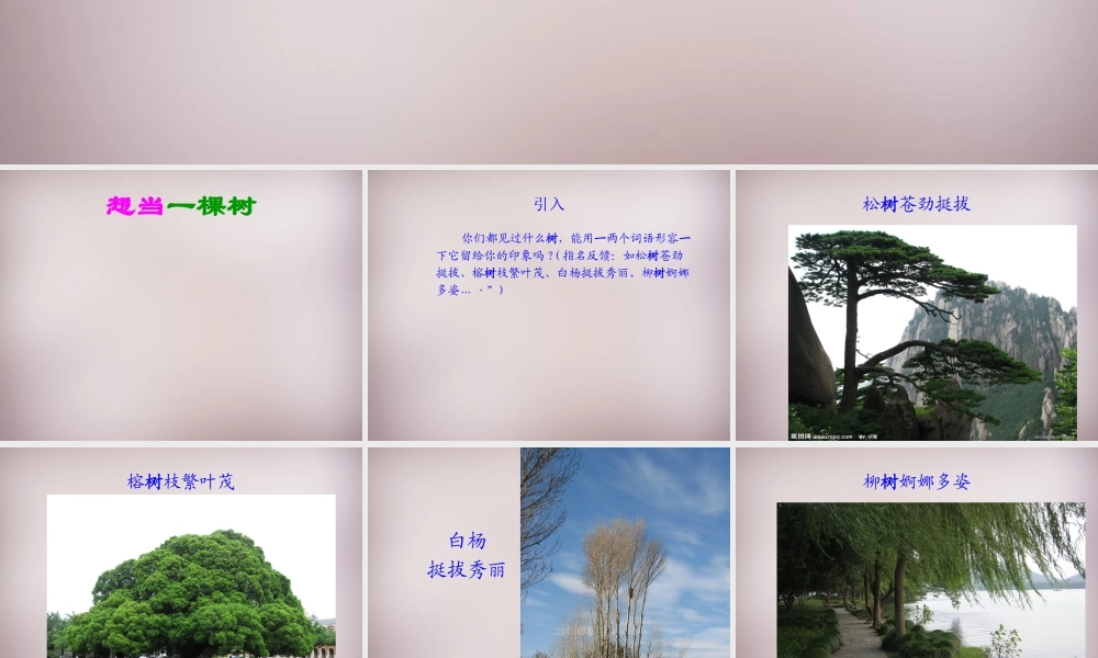 五年级语文上册《想当一棵树》课件3 语文A版-语文A版小学五年级上册语文课件