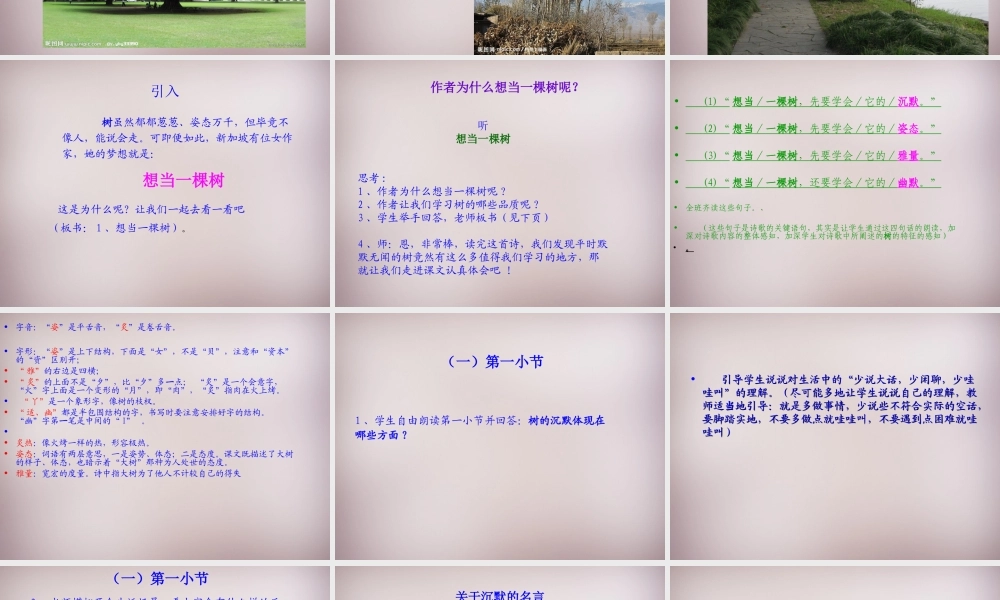 五年级语文上册《想当一棵树》课件3 语文A版-语文A版小学五年级上册语文课件