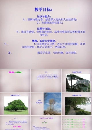 五年级语文上册《想当一棵树》课件3 语文A版-语文A版小学五年级上册语文课件