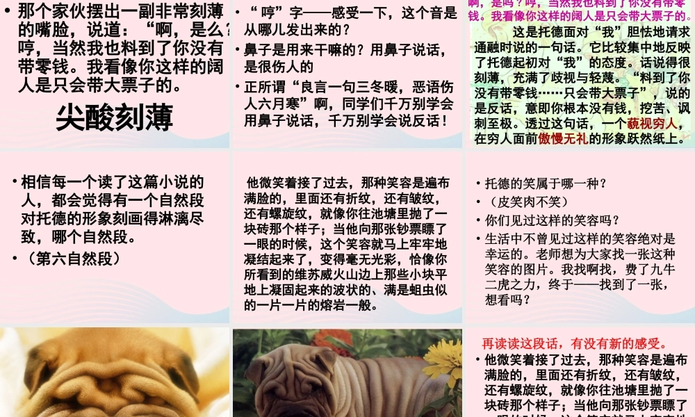 五年级语文下册 第七组 24 金钱的魔力课件 新人教版-新人教版小学五年级下册语文课件