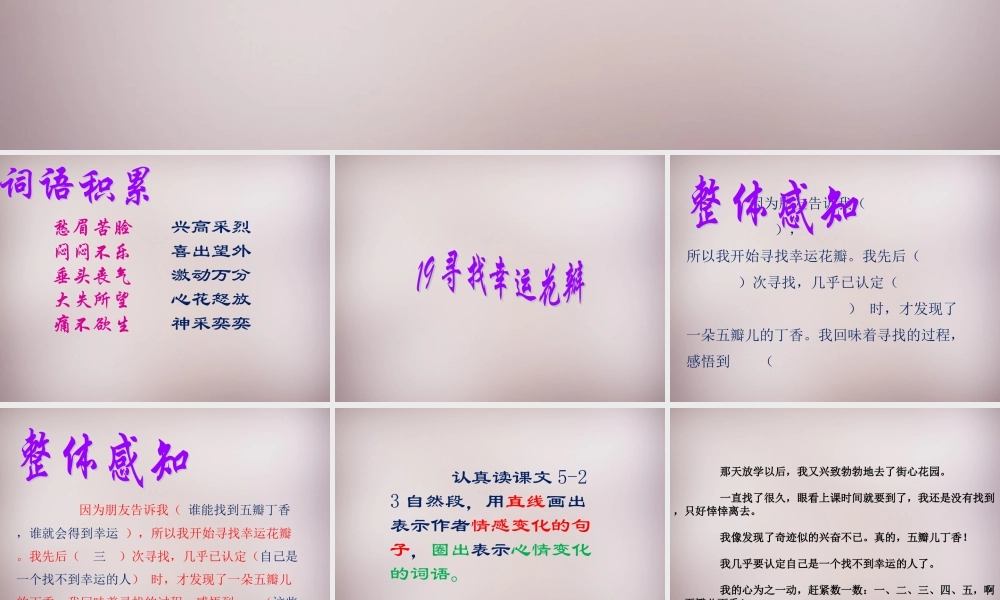五年级语文上册《寻找幸运花瓣》课件1 语文A版-语文A版小学五年级上册语文课件