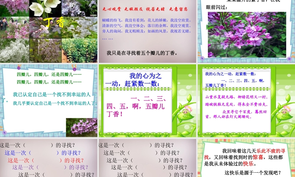 五年级语文上册《寻找幸运花瓣》课件1 语文A版-语文A版小学五年级上册语文课件