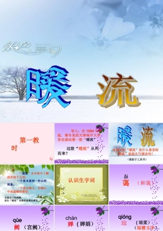 五年级语文下册 第一单元 第2课《暖流》课件1 苏教版-苏教版小学五年级下册语文课件