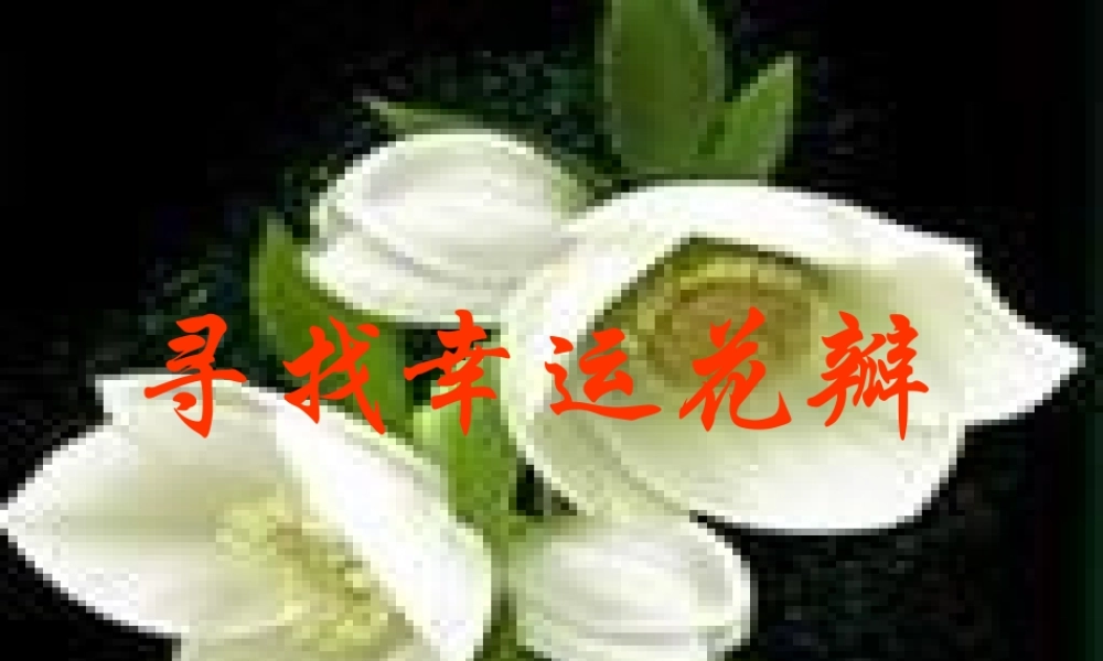 五年级语文上册《寻找幸运花瓣》课件2 语文A版-语文A版小学五年级上册语文课件