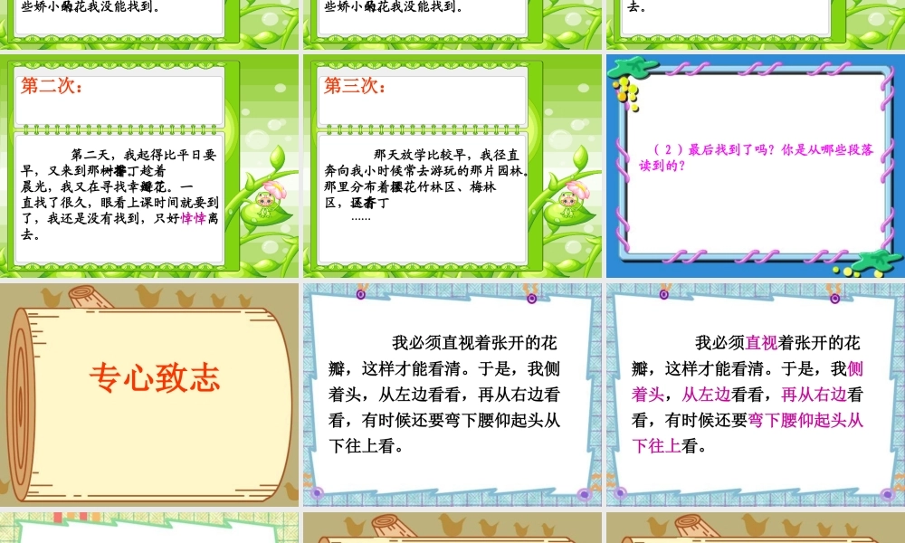 五年级语文上册《寻找幸运花瓣》课件2 语文A版-语文A版小学五年级上册语文课件