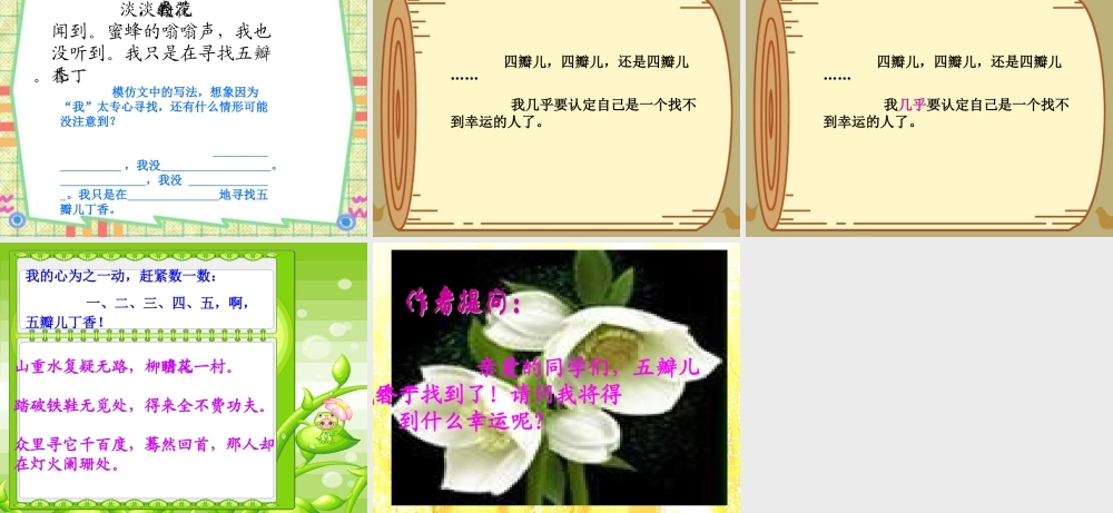 五年级语文上册《寻找幸运花瓣》课件2 语文A版-语文A版小学五年级上册语文课件