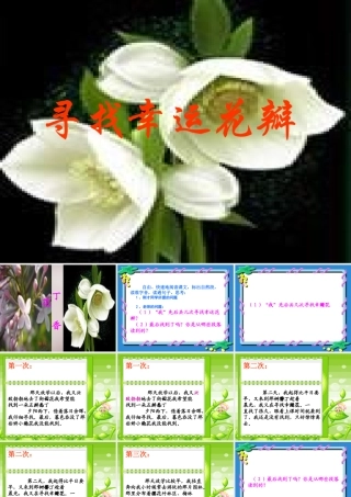 五年级语文上册《寻找幸运花瓣》课件2 语文A版-语文A版小学五年级上册语文课件