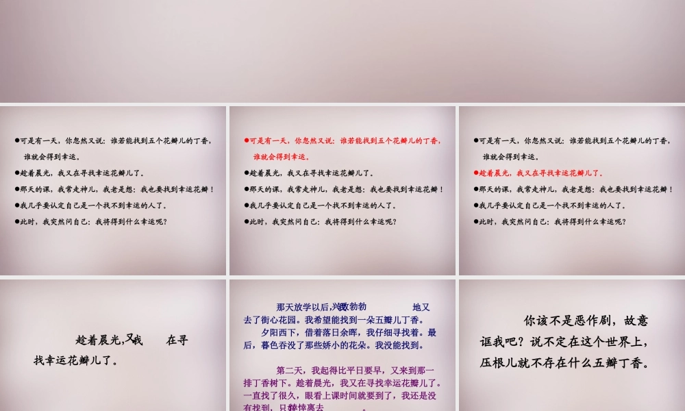 五年级语文上册《寻找幸运花瓣》课件3 语文A版-语文A版小学五年级上册语文课件