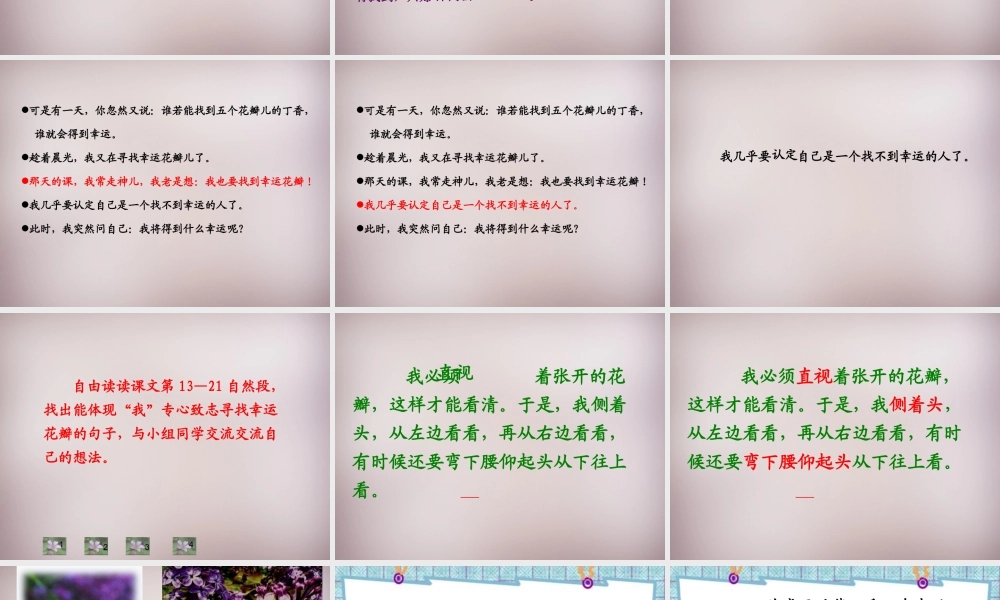 五年级语文上册《寻找幸运花瓣》课件3 语文A版-语文A版小学五年级上册语文课件