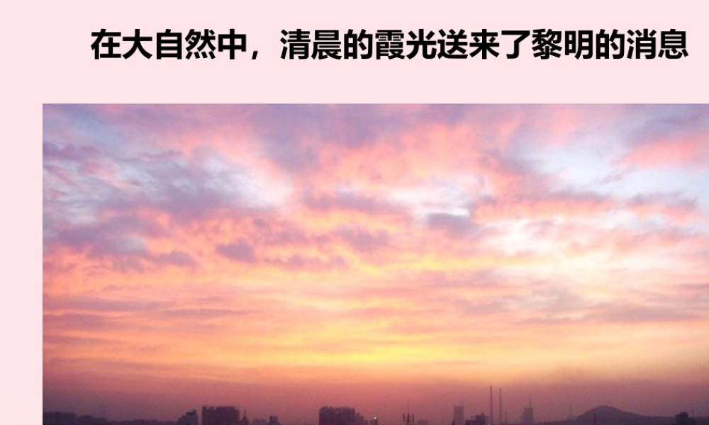 五年级语文下册 习作六 走进信息世界课件1 新人教版-新人教版小学五年级下册语文课件