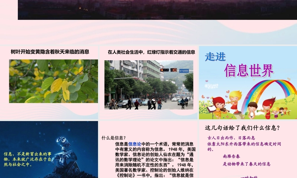 五年级语文下册 习作六 走进信息世界课件1 新人教版-新人教版小学五年级下册语文课件