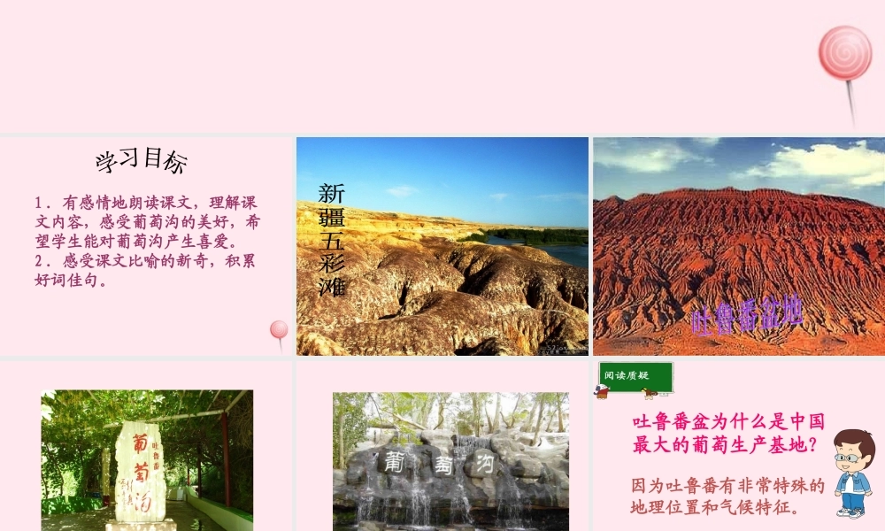 五年级语文下册 第一单元 第4课《吐鲁番的葡萄沟》课件 西师大版-西师大版小学五年级下册语文课件