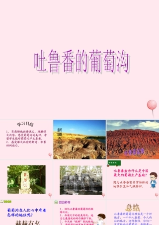 五年级语文下册 第一单元 第4课《吐鲁番的葡萄沟》课件 西师大版-西师大版小学五年级下册语文课件