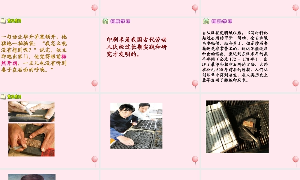 五年级语文下册 第四单元 第13课《毕升的梦想》课件 西师大版-西师大版小学五年级下册语文课件