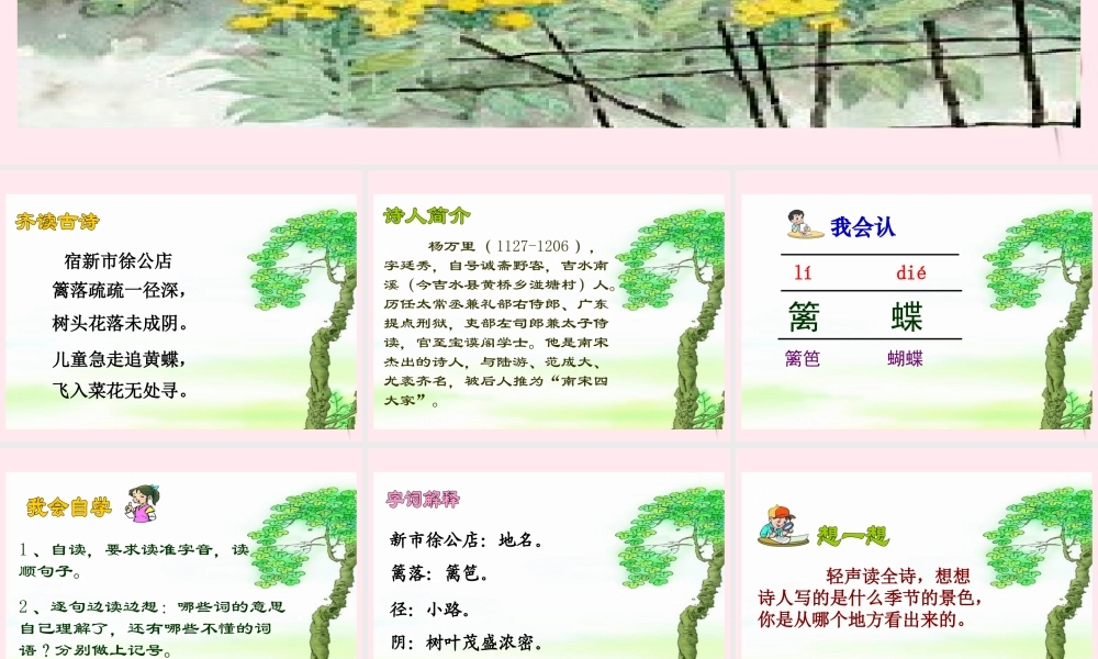 五年级语文下册 第一单元 第5课《古诗两首 宿新市徐公店》课件 苏教版-苏教版小学五年级下册语文课件