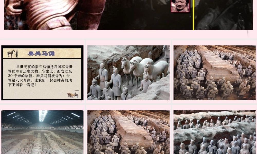 五年级语文下册 第四单元 第14课《秦兵马俑》课件 苏教版-苏教版小学五年级下册语文课件