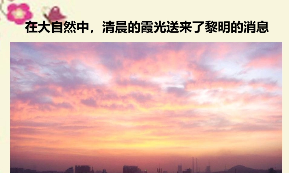 五年级语文下册 习作六《走进信息世界》课件1 新人教版-新人教版小学五年级下册语文课件