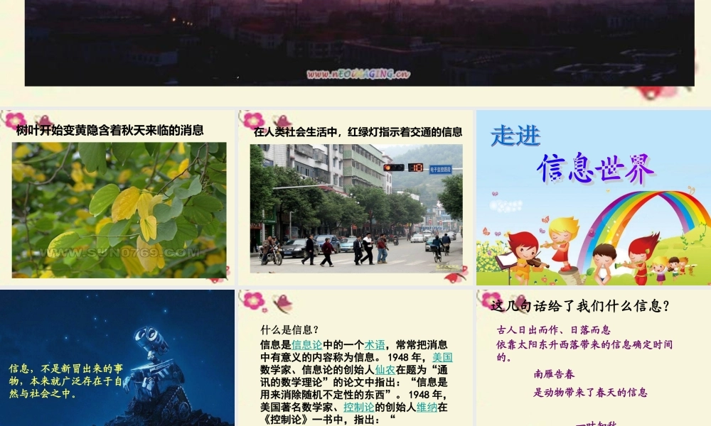 五年级语文下册 习作六《走进信息世界》课件1 新人教版-新人教版小学五年级下册语文课件