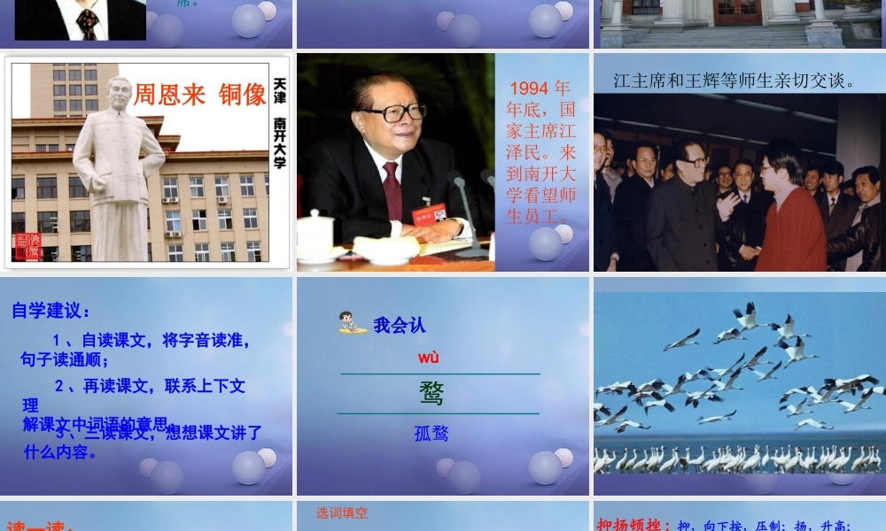 五年级语文下册 1.2《暖流》课件 苏教版-苏教版小学五年级下册语文课件