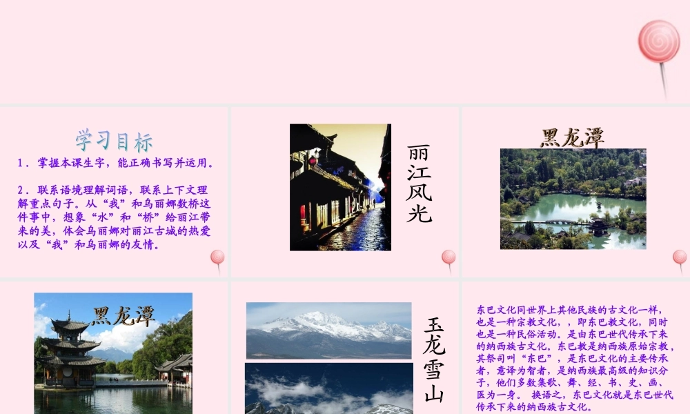 五年级语文下册 第三单元 第10课《我和乌丽娜》课件 西师大版-西师大版小学五年级下册语文课件