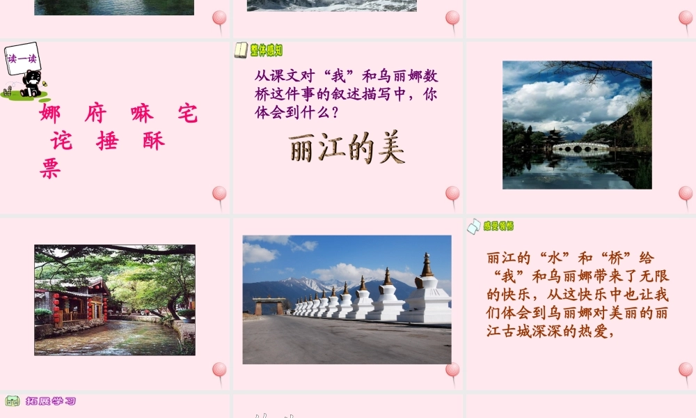 五年级语文下册 第三单元 第10课《我和乌丽娜》课件 西师大版-西师大版小学五年级下册语文课件